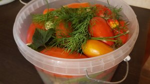 Квашеные помидоры