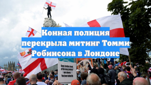 Конная полиция перекрыла митинг Томми Робинсона в Лондоне