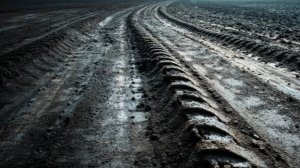 Древние курганы перепахали тракторами в Алтайском крае