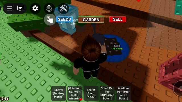 новое растение в Grow Garden