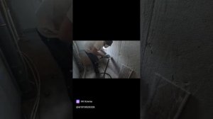 clip1019520329_456239136.mp4