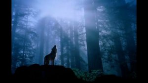 Это вы меня научили выживать волк