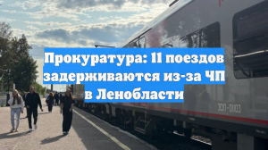 Прокуратура: 11 поездов задерживаются из-за ЧП в Ленобласти