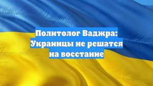 Политолог Ваджра: Украинцы не решатся на восстание