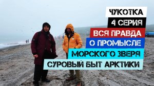 🔥ЧУКОТКА🔥 - Серия 4. Вся правда о промысле морского зверя. Суровый быт Арктики.