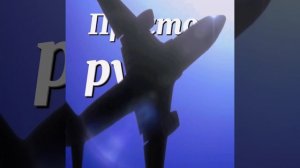 врата штейна эдит