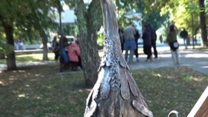 Арт-фестиваль "Живописный город": взгляд на Самару через призму искусства