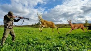 Как Манить самца Косули на Гону. Время, периодичность, передвижение!!!