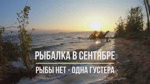 Рыбалка в сентябре. Рыбы нет - одна густера.