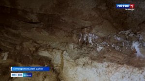 Музыкант-путешественник привез в автомобиле в Крым целый оркестр