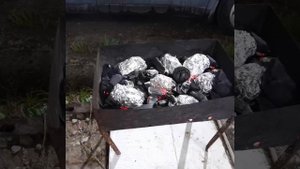 Сентябрь 2025 Фото.