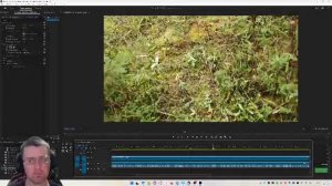 Тихая охота. Сбор грибов. Онлайн-монтаж: Создаем шедевр вместе!