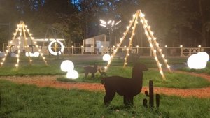 Альпака Парк, парк Сокольники 11.09.2025