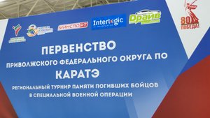 Первенство ПФО по каратэ Региональный турнир памяти погибших бойцов СВО 07.09.2025г