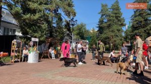 «Хвостатый пикник» прошел в Хабаровске