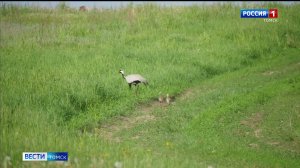 Вести-Томск, выпуск от 13.09.2025 14:30