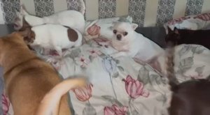 Доброго утречка и легкого начала недели.