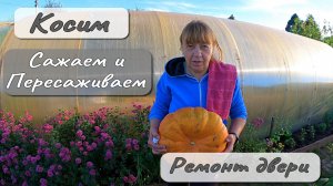 Ремонт двери Косим Сажаем и Пересаживаем