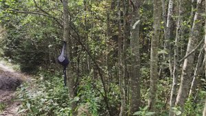 Закрываем сезон сбора грибов 2025