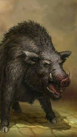 Страшные и опасные кабаны 🐷🐽 #Shorts