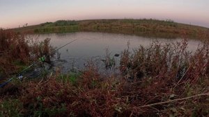 ВЫЕЗД НА РЫБАЛКУ.