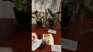 Таро.Что сейчас вы не видите.
