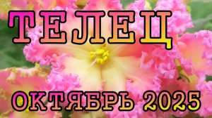 ТЕЛЕЦ таро прогноз на ОКТЯБРЬ 2025 года.