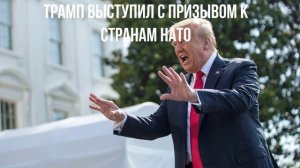 Трамп выступил с призывом к странам НАТО