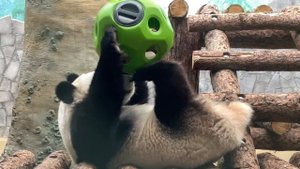 Кручу, верчу, росток достать хочу…. 🌱