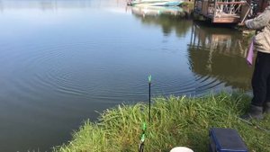 поимка на большом водоёме