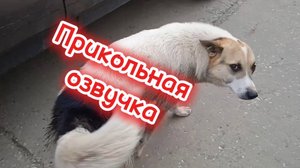 Прикольная озвучка.