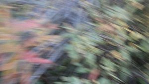 В тундре 04.09.2025 85