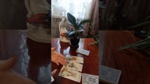 Таро.Ваш день.