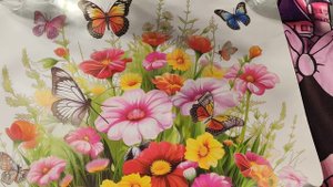 Распаковка Джум