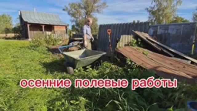 Осенние полевые работы, сезон 2025г