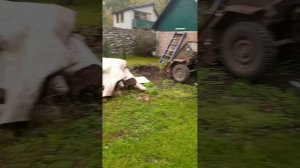 Сибирский огород 14сентября