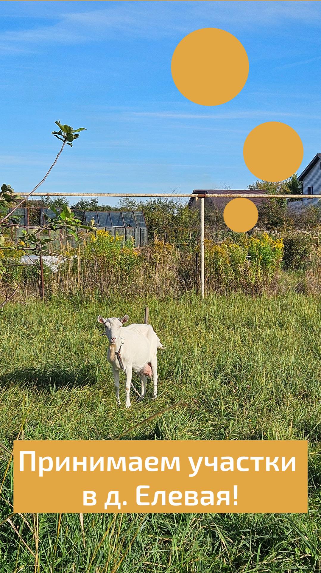 Принимаем участки для строительства еще 3 коттеджей! смотреть онлайн