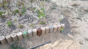 Замечательные выходные. И отдохнули, и поработали. СЕМЬЯ НА ДАЧЕ #278.