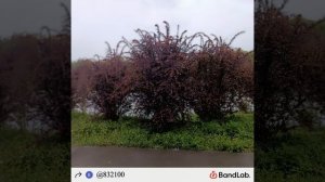 Дождь