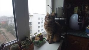 сумка-клубочница 🧶🧶🧶,  прогулка по городу 🚶♀️🚶♀️🚶♀️