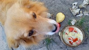 1000011007.mp4 Теперь кушай супчик Инна Гетц.