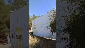 Средний пол уже норма у нас