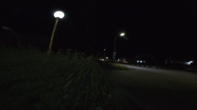 Вишнёвый Сад кусты ночь