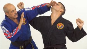 БОЕВОЕ ХАПКИДО 10— Черный пояс (1 дан)