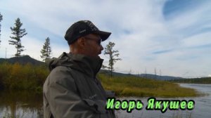 Таймень. Река Амедичи. Рыбалка в Якутии