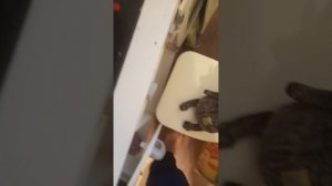 пять ночей с бабайкой