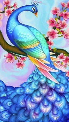 Очень красивый Павлин отдыхает 🦚 #Shorts