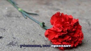 Пермяки почтят память жертв крушения Boeing 737