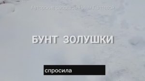 Рассказ Нины Лаптевой: БУНТ ЗОЛУШКИ