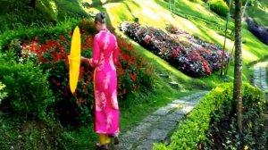 Вьетнам в декабре .